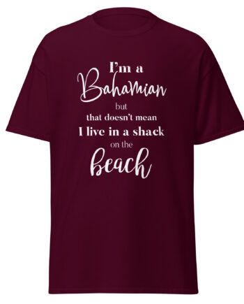 Unisex classic tee