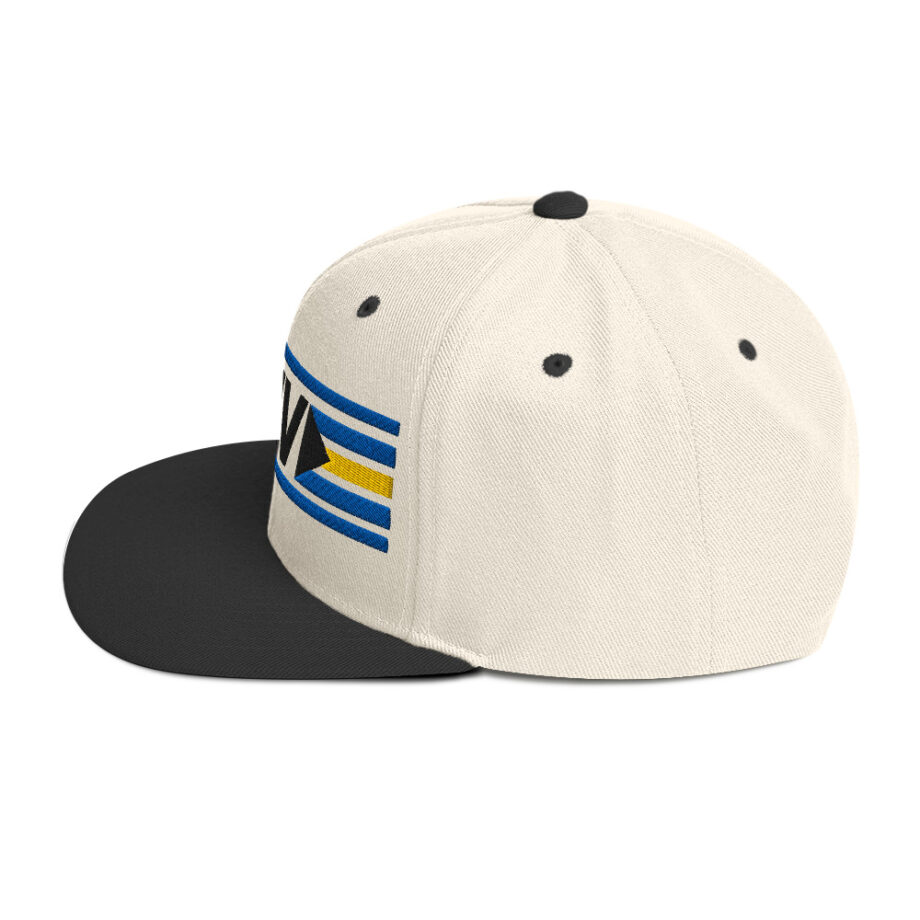 Snapback Hat