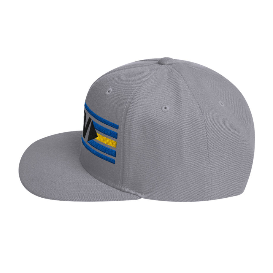 Snapback Hat
