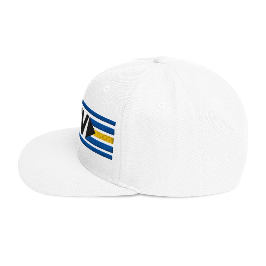 Snapback Hat