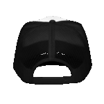 Native Foam trucker hat