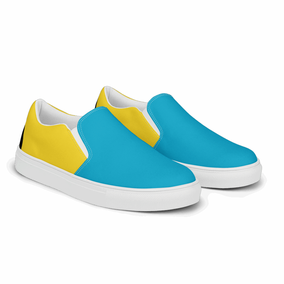 Men’s slip-on canvas shoes