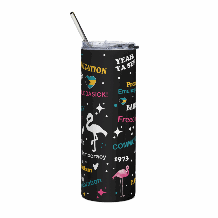Stainless steel tumbler