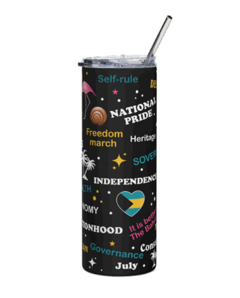 Stainless steel tumbler