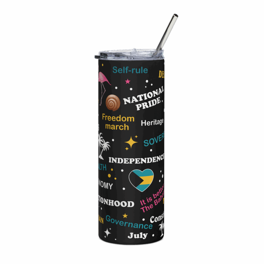 Stainless steel tumbler