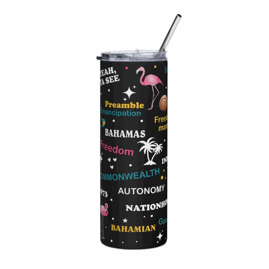 Stainless steel tumbler