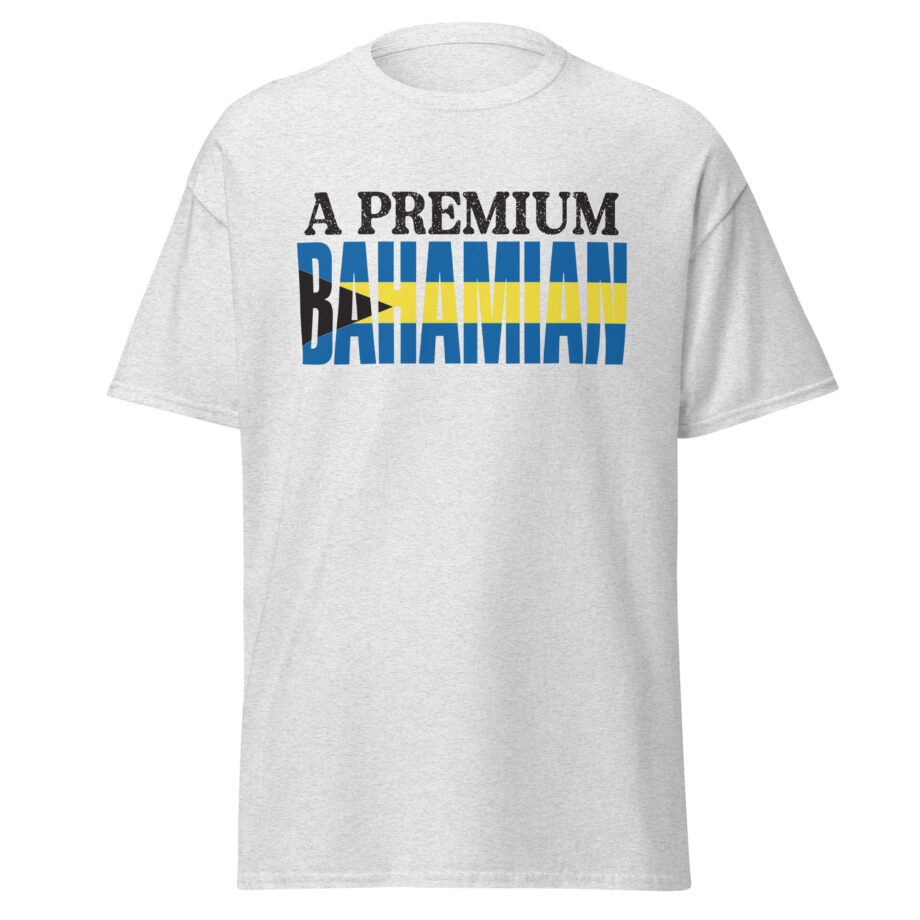 Unisex classic tee