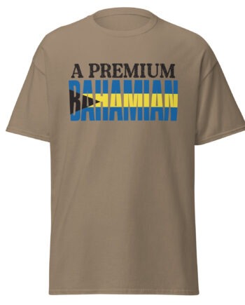 Unisex classic tee