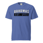 Unisex garment-dyed heavyweight t-shirt