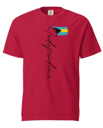 Unisex garment-dyed heavyweight t-shirt