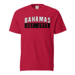Unisex garment-dyed heavyweight t-shirt