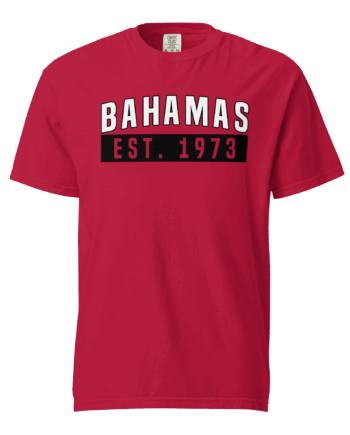 Unisex garment-dyed heavyweight t-shirt