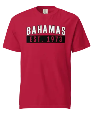 Unisex garment-dyed heavyweight t-shirt