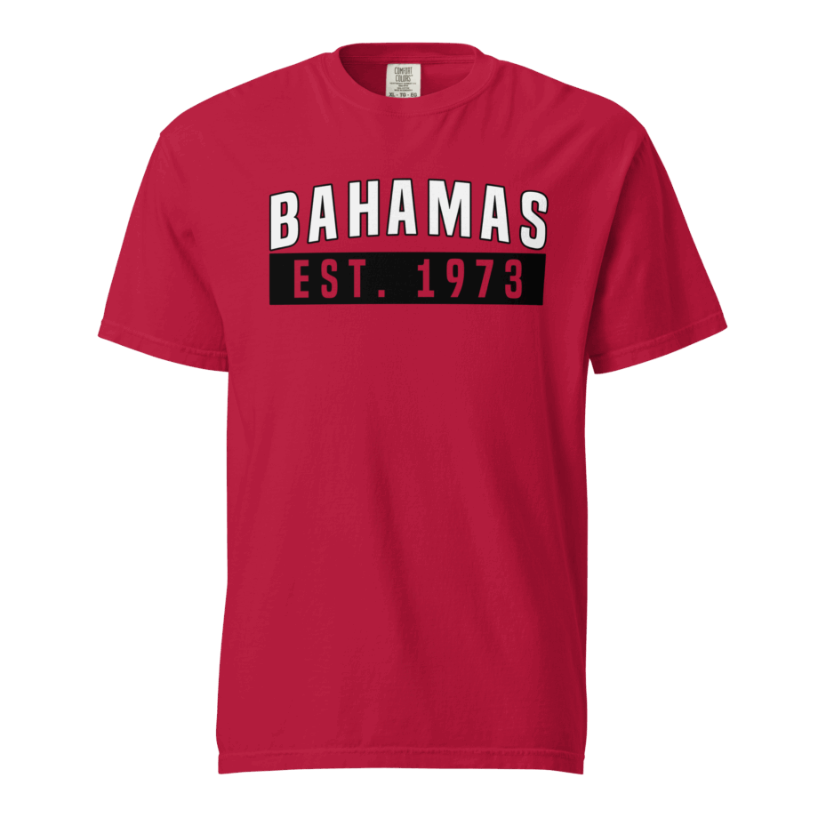 Unisex garment-dyed heavyweight t-shirt