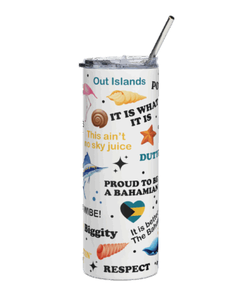 Stainless steel tumbler